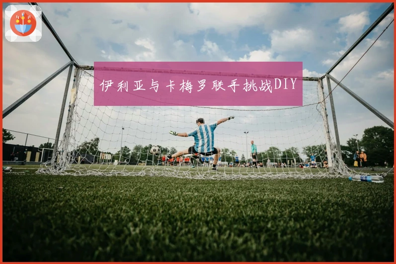 伊利亚与卡梅罗联手挑战DIY