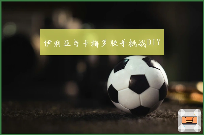 伊利亚与卡梅罗联手挑战DIY